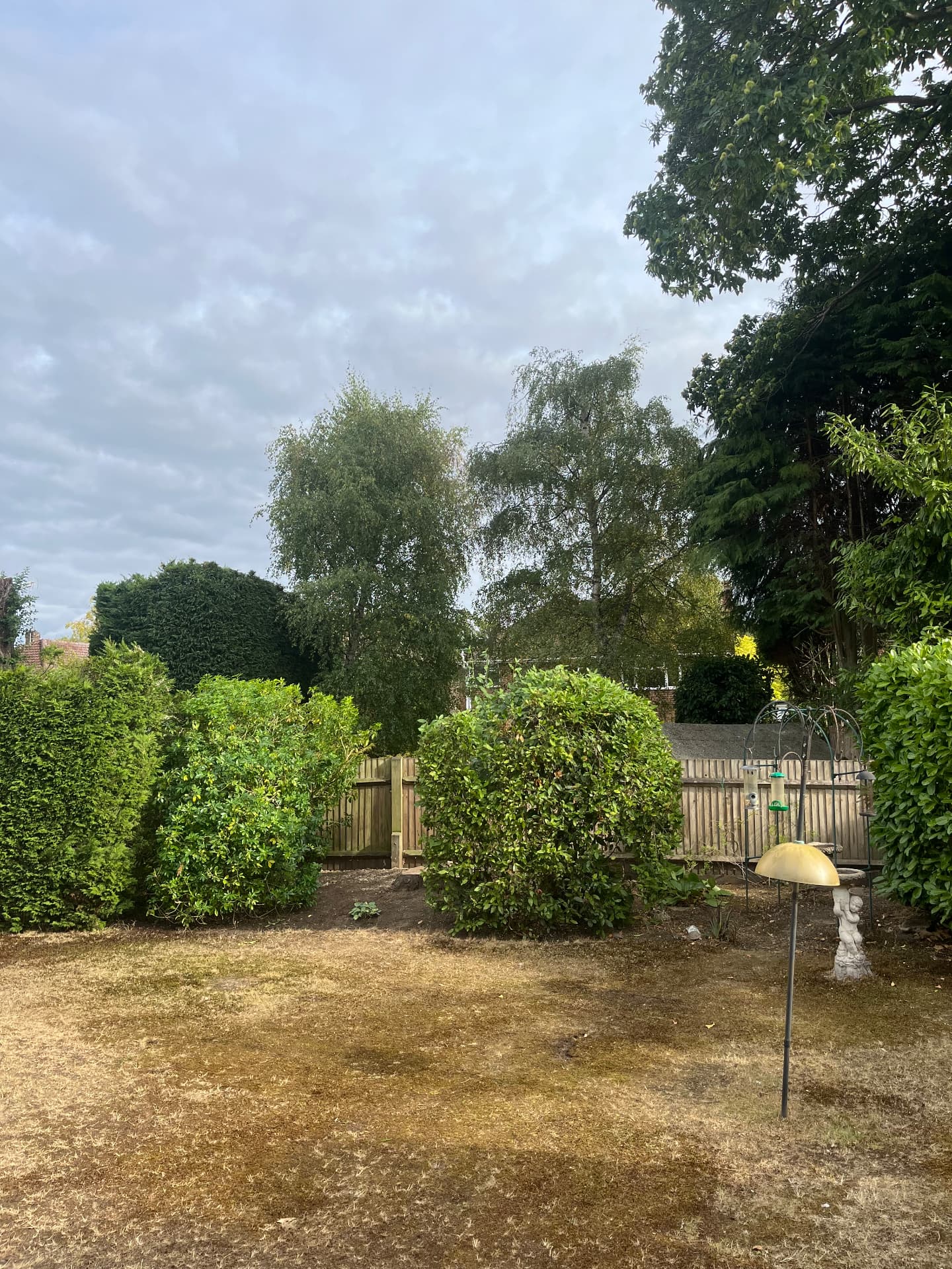 Same garden after the conifer was removed