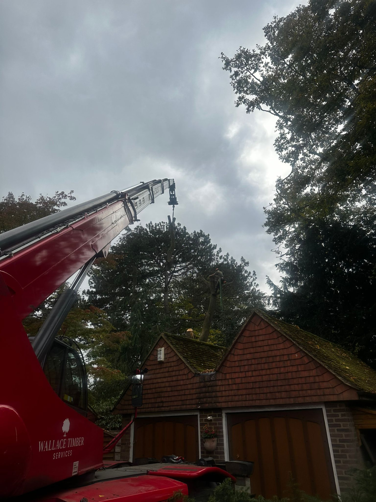 Crane-assisted tree removal over a garage